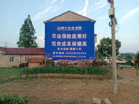  南陵墙体广告的优劣势你知道吗？