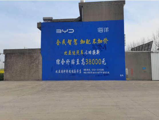  南陵墙固是否有必要刷？